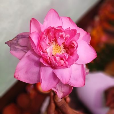 R.c.sharma